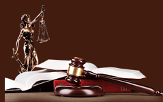 На главную страницу